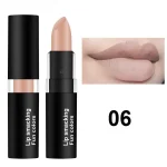 12 Colors Matte Lipstick Lip Gloss Cosmetic For Makeup Long Lasting Moisture Make Up Waterproof Lipstick Lips - Image 10