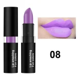 12 Colors Matte Lipstick Lip Gloss Cosmetic For Makeup Long Lasting Moisture Make Up Waterproof Lipstick Lips - Image 12