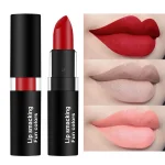 12 Colors Matte Lipstick Lip Gloss Cosmetic For Makeup Long Lasting Moisture Make Up Waterproof Lipstick Lips - Image 5