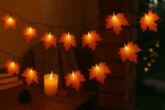 Modern White LED String Lights 3m 20 Warm White Lamps - Image 2